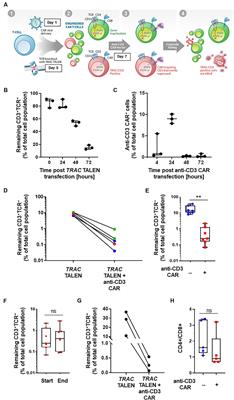 Straightforward Generation of Ultrapure Off-the-Shelf Allogeneic CAR-T Cells